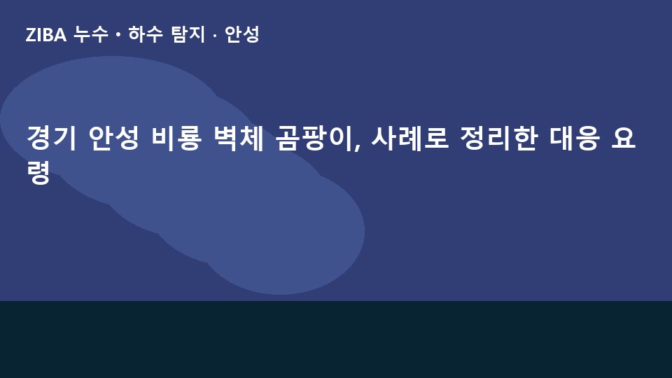 경기 안성 비룡 벽체 곰팡이, 사례로 정리한 대응 요령