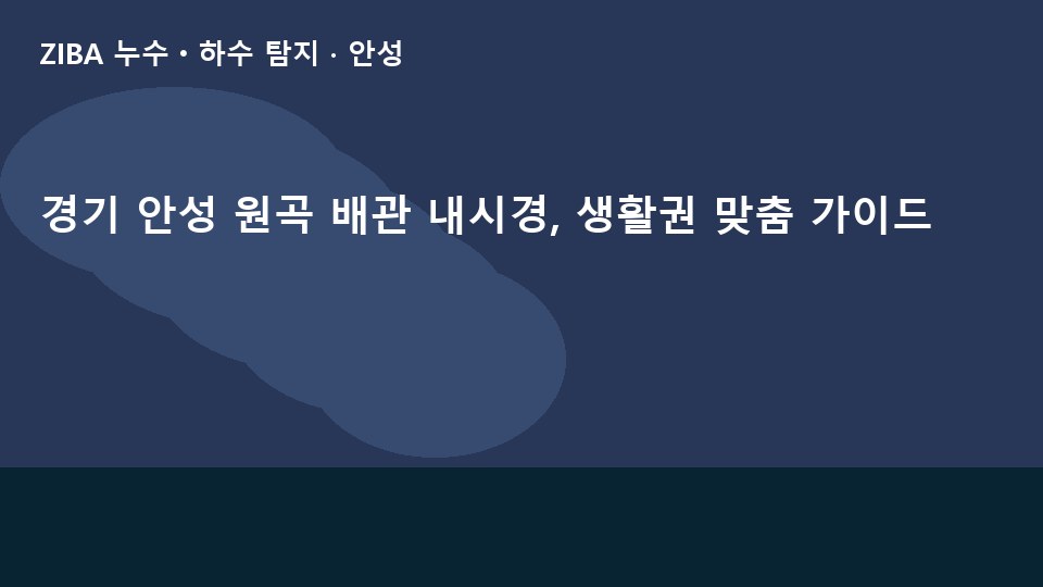 경기 안성 원곡 배관 내시경, 생활권 맞춤 가이드
