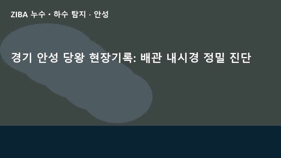 경기 안성 당왕 현장기록: 배관 내시경 정밀 진단
