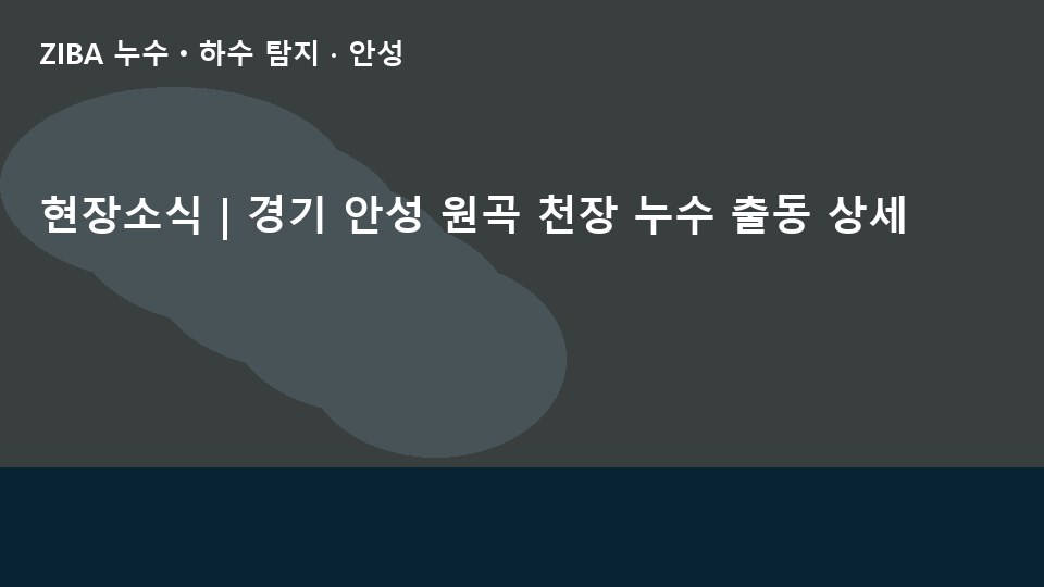 현장소식 | 경기 안성 원곡 천장 누수 출동 상세